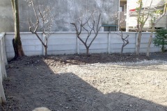 07_DSCF2592